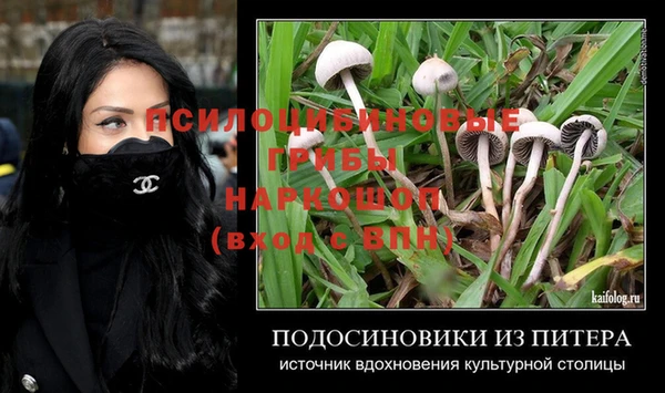 дживик Алексин